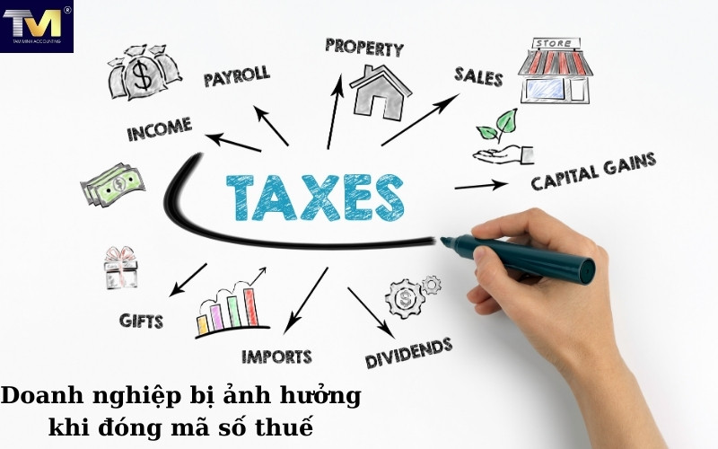 Nguyên nhân doanh nghiệp bị đóng mã số thuế