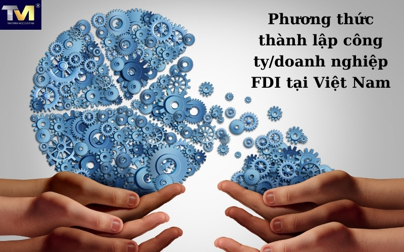 Thủ tục thành lập công ty/ doanh nghiệp FDI tại Việt Nam