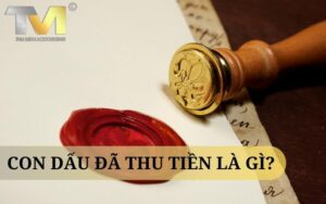 Con Dấu Đã Thu Tiền là Gì? Khám Phá Công Cụ Tài Chính