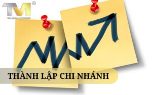 Thành lập Chi Nhánh Doanh Nghiệp: Quy trình, Thủ tục và Lợi ích