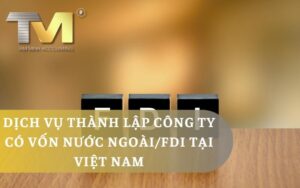Dịch vụ thành lập công ty có vốn nước ngoài/FDI tại Việt Nam