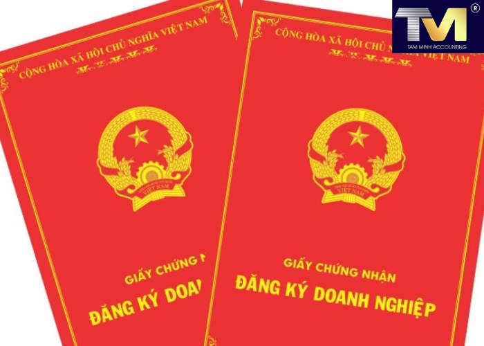 Giấy chứng nhận đăng ký doanh nghiệp 2024