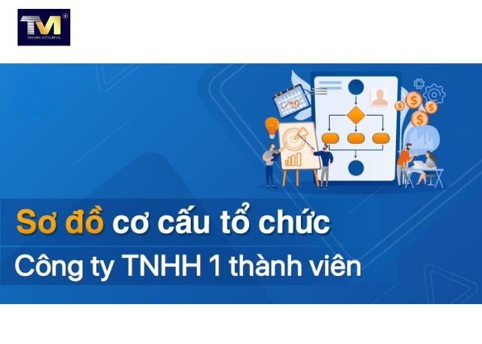 Cơ cấu, sơ đồ tổ chức, chủ sở hữu công ty TNHH 1 thành viên (1)