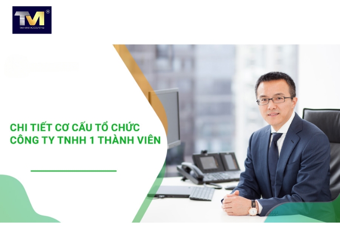 Cơ cấu, sơ đồ tổ chức, chủ sở hữu công ty TNHH 1 thành viên (3)