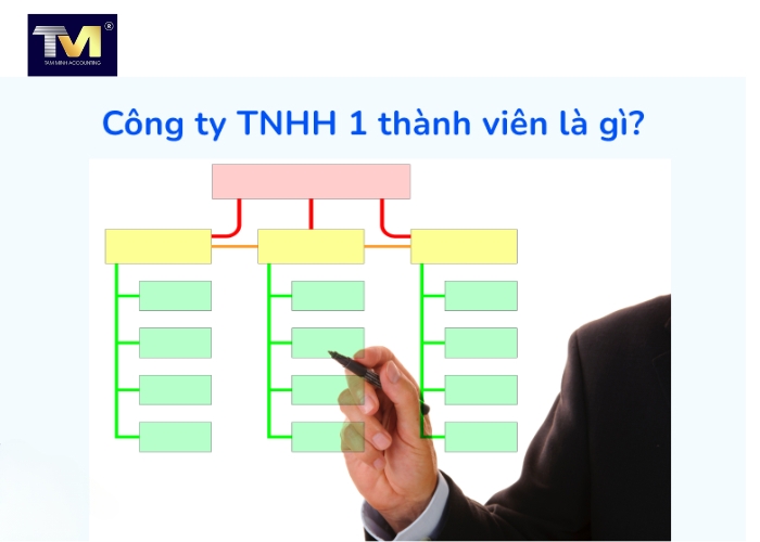 Cơ cấu, sơ đồ tổ chức, chủ sở hữu công ty TNHH 1 thành viên (4)