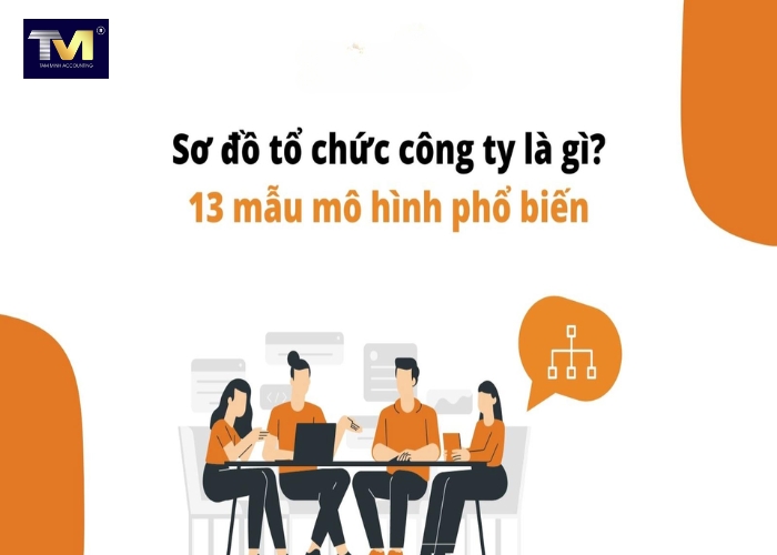 Cơ cấu, sơ đồ tổ chức, chủ sở hữu công ty TNHH 1 thành viên (5)