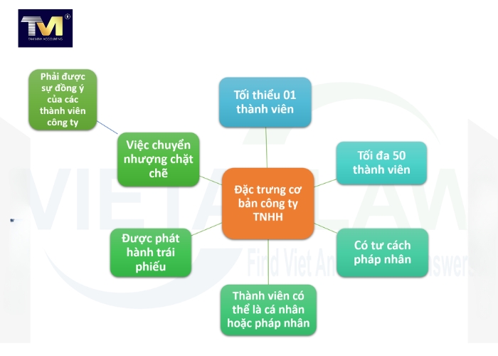 Cơ cấu, sơ đồ tổ chức, chủ sở hữu công ty TNHH 1 thành viên (6)