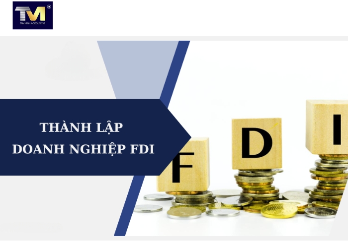 Doanh nghiệp FDI là gì Quy trình thành lập doanh nghiệp FDI (2)