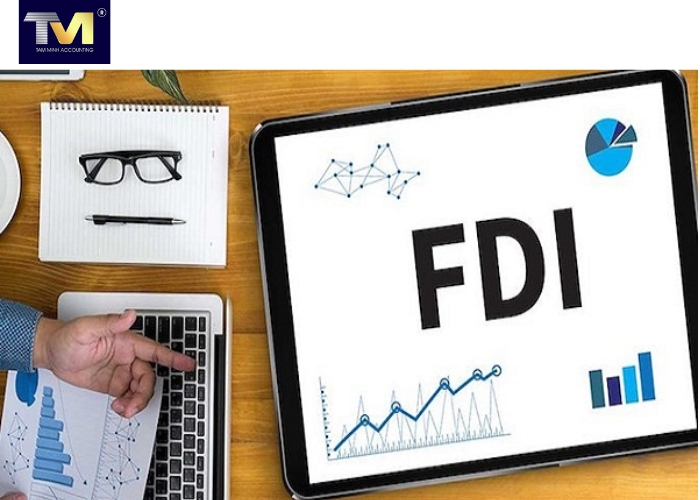 Doanh nghiệp FDI là gì Quy trình thành lập doanh nghiệp FDI (3)