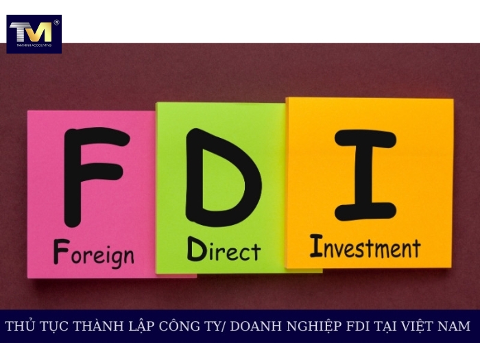 Doanh nghiệp FDI là gì Quy trình thành lập doanh nghiệp FDI (4)