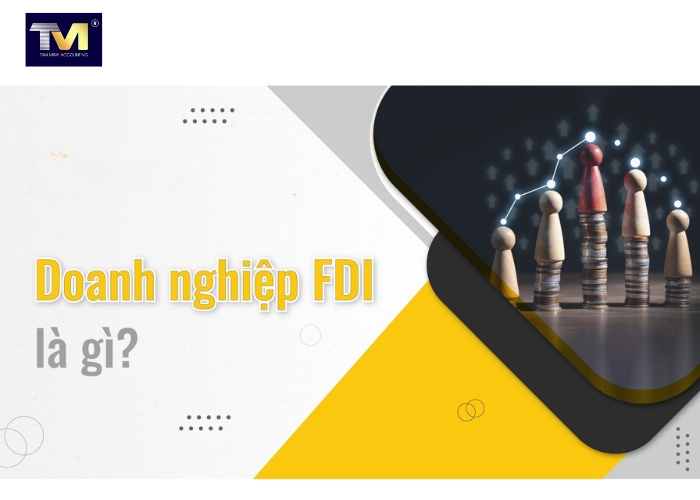 Doanh nghiệp FDI là gì Quy trình thành lập doanh nghiệp FDI (6)