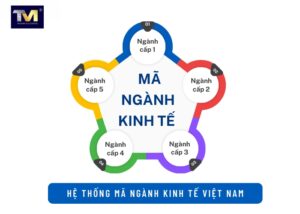 Quy định mã ngành nghề kinh doanh khi thành lập doanh nghiệp (2)
