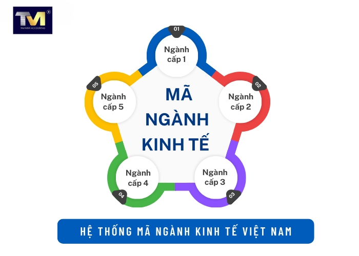 Quy định mã ngành nghề kinh doanh khi thành lập doanh nghiệp (2)