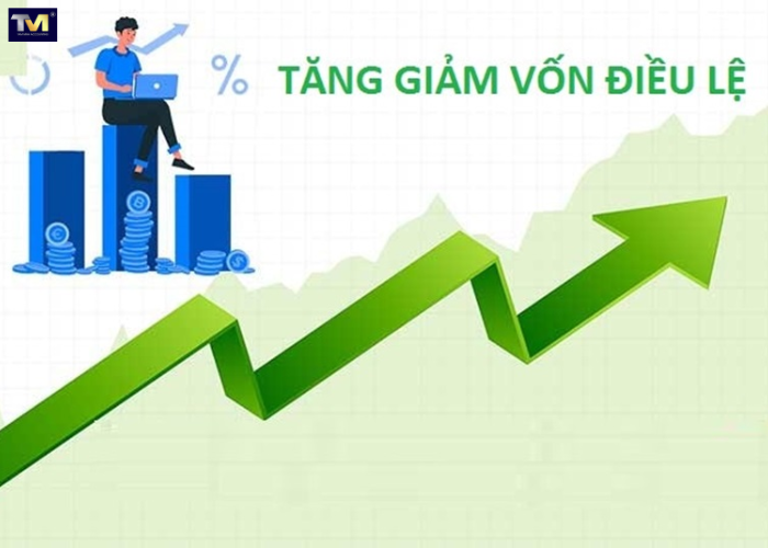 Đăng ký vốn điều lệ công ty TNHH (5) Đăng ký vốn điều lệ công ty TNHH (5)