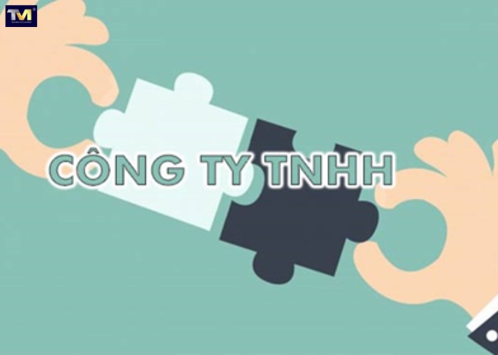 hồ sơ đăng ký kinh doanh công ty TNHH (1) hồ sơ đăng ký kinh doanh công ty TNHH (1)