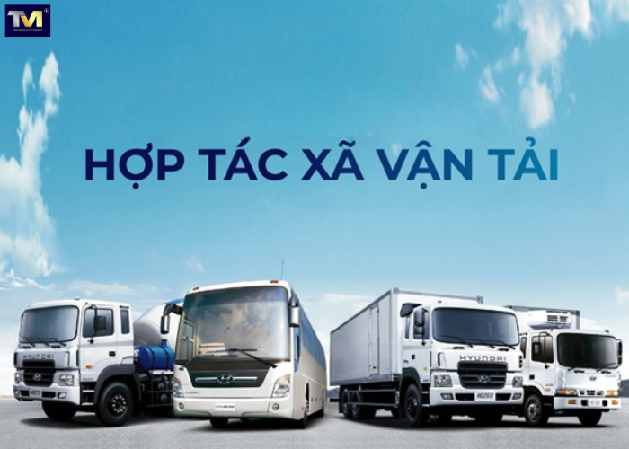 thành lập hợp tác xã vận tải (1) thành lập hợp tác xã vận tải (1)