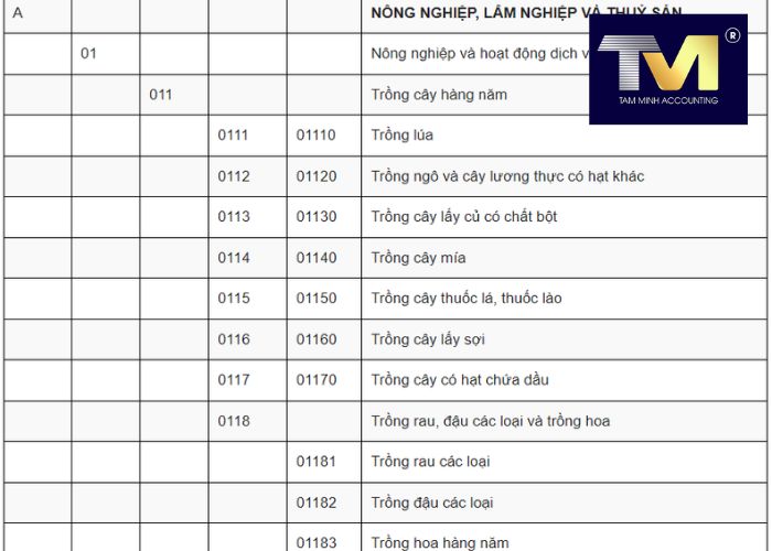 cách thành lập công ty nhỏ (3)