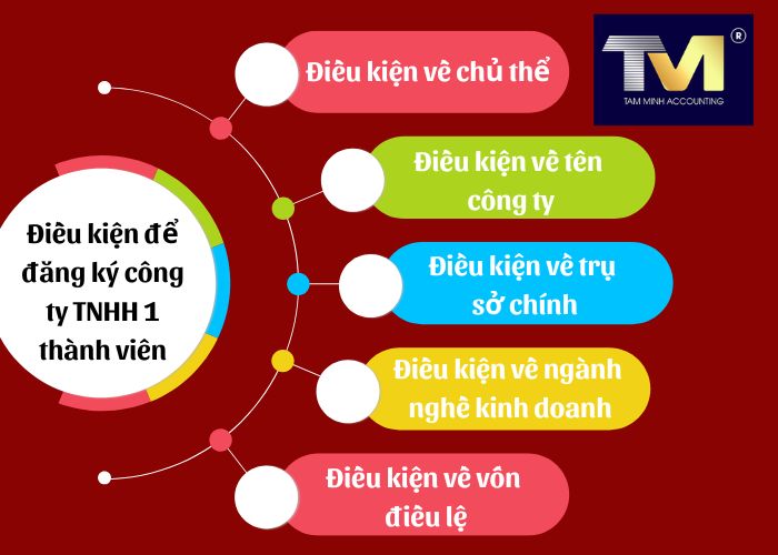 công ty tnhh 1 thành viên (2)