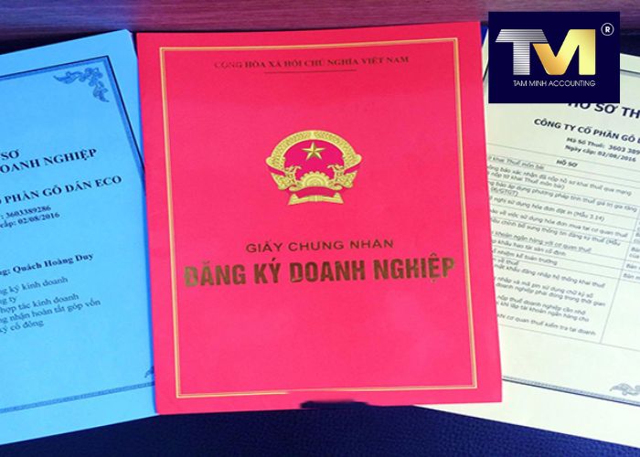công ty tnhh 1 thành viên (3)