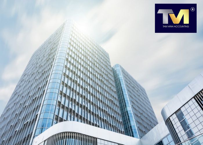 điều kiện để thành lập công ty tnhh 1 thành viên (4)
