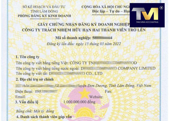 giấy phép kinh doanh công ty tnhh 2 thành viên