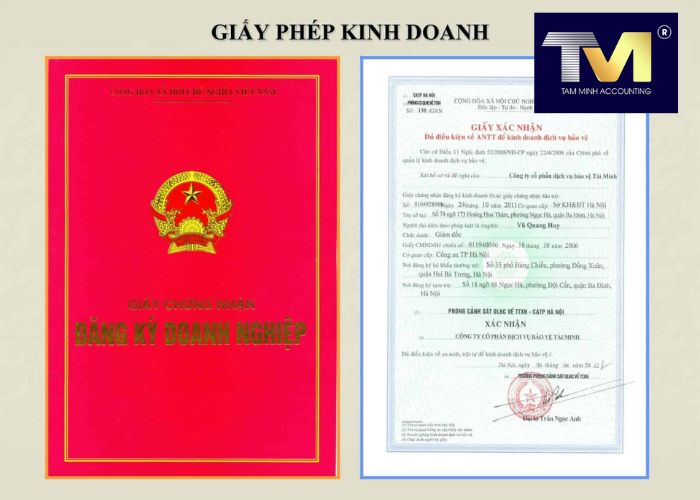 giấy phép kinh doanh công ty tnhh 2 thành viên (2)