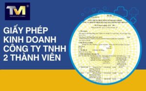 giấy phép kinh doanh công ty tnhh 2 thành viên