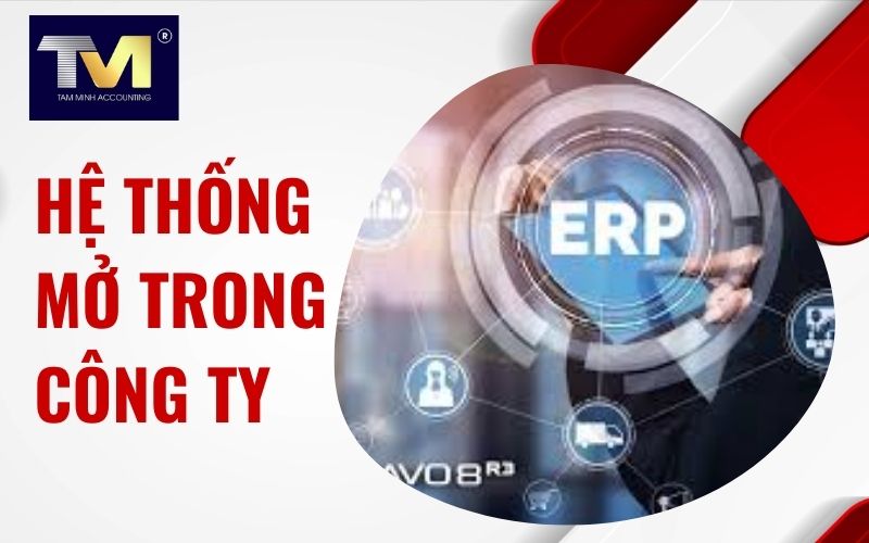 hệ thống mở trong công ty