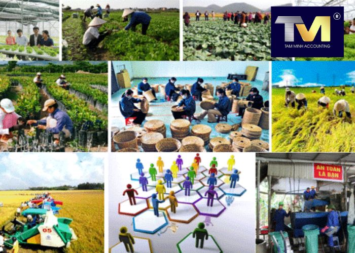 thủ tục thành lập hợp tác xã