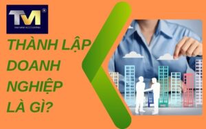 thành lập doanh nghiệp là gì