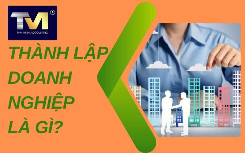 thành lập doanh nghiệp là gì