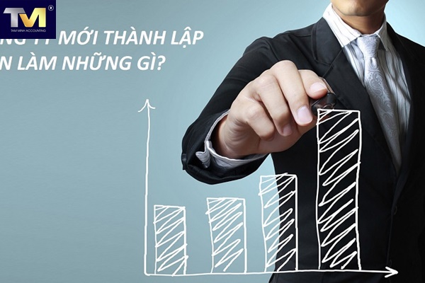 công ty mới thành lập cần làm những gì công ty mới thành lập cần làm những gì